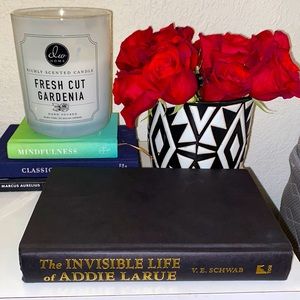 USED Invisible Life of Addie Larue Hardcover Novel.